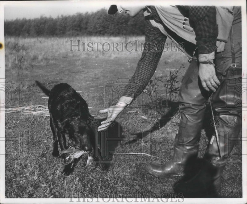 Load image into Gallery viewer, 1960 Press Photo Martin Weber hunting ducks at the Rock River near Ashippun, WI
