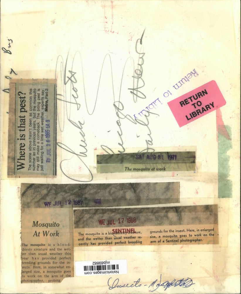 1967 Press Photo Mosquito At Work - mjb69882