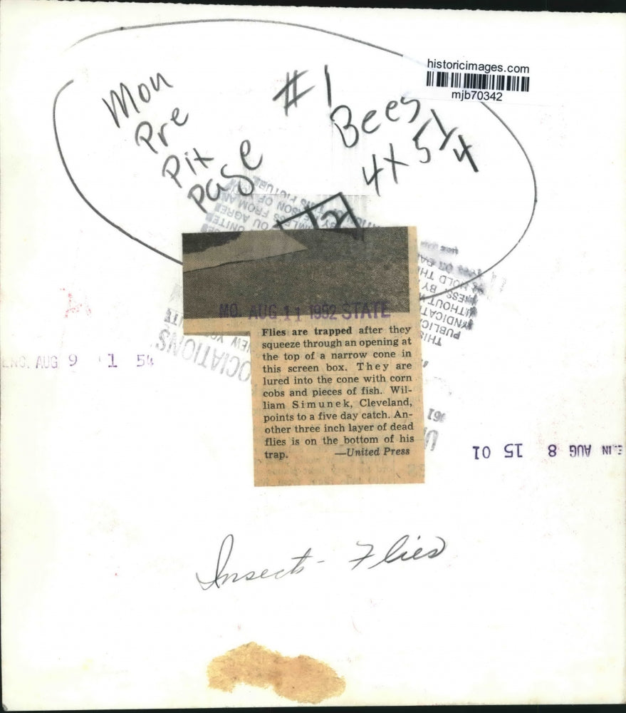 1952 Press Photo William Simunek, Cleveland displays his fly trap and flies