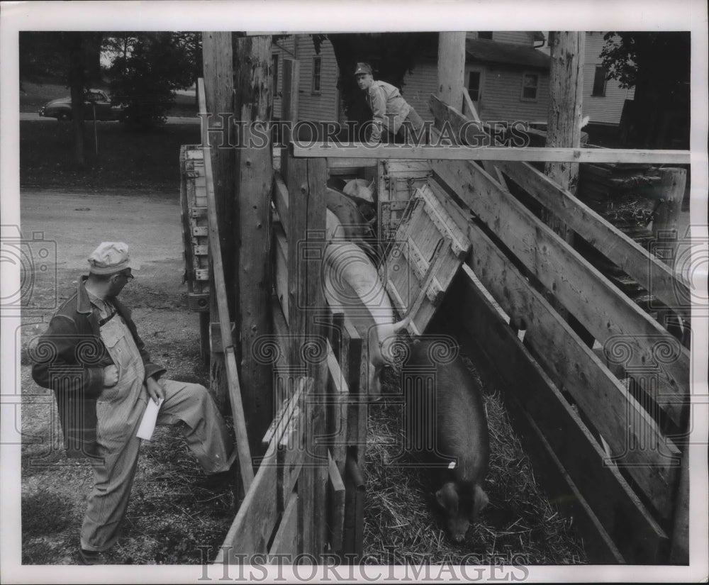 1862 Press Photo Hilbert Steffenhagen at the Oscar Mayer buying station at Lodi- Historic Images