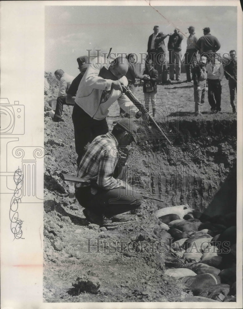 1968 Press Photo David Jones and Donald Hayes kill farm animals Wisconsin