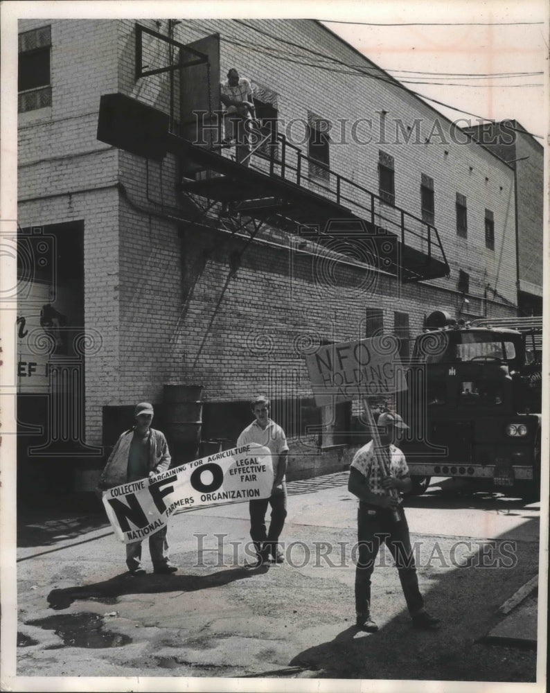 1964 Press Photo Members of National Farmers Organization at Wisconsin Packing- Historic Images