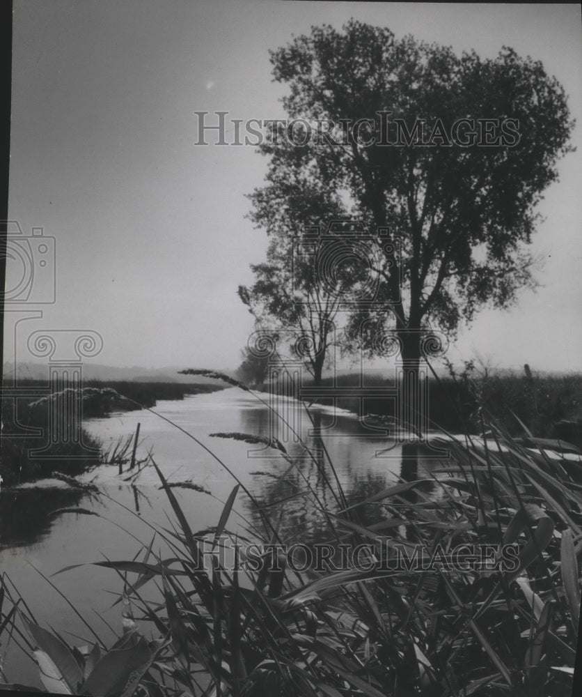 1957 Press Photo Horicon marsh drainage ditch in Wisconsin - mjb71531