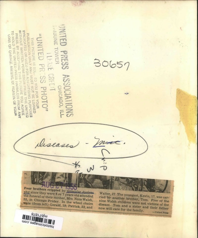 Load image into Gallery viewer, 1955 Press Photo Muscular Dystrophy claims 4 of 9 Walsh siblings, now motherless
