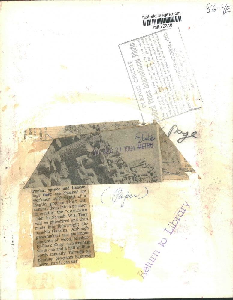 1964 Press Photo Logs are checked before they are made into tissues, Neenah, WI