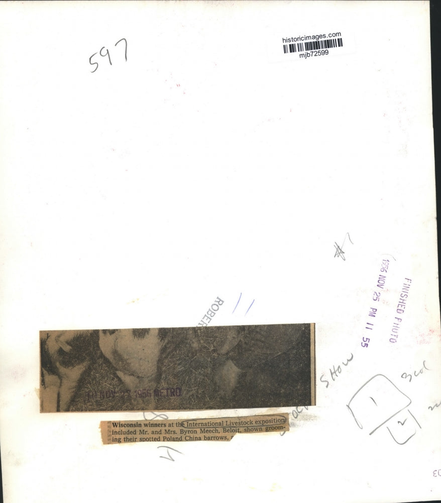 1956 Press Photo Mr and Mrs Byron Meech, International Livestock exposition