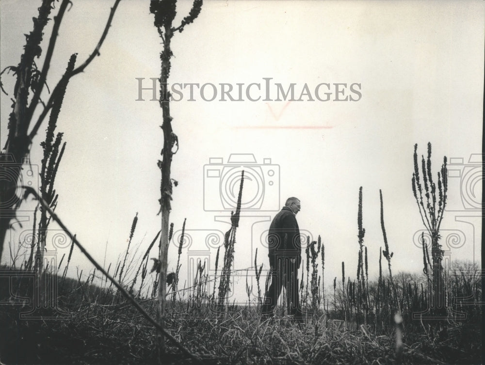 1978 Press Photo Farmer Al Green where PBB contaminated cattle killed, Wisconsin- Historic Images