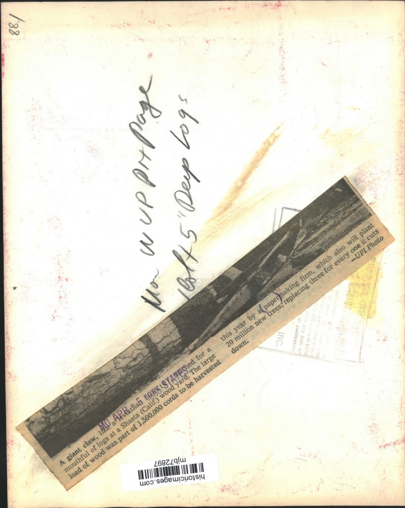 1965 Press Photo Giant claw at Shasta California wood yard headed to paper mill