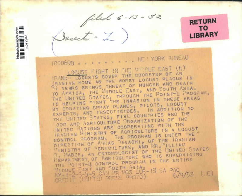 Load image into Gallery viewer, 1952 Press Photo Locust cover doorstep in Iran during a Locust Plague
