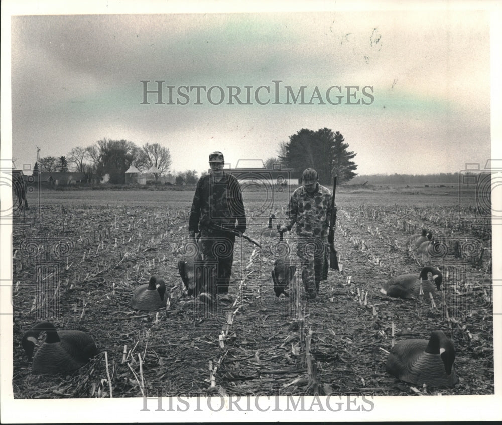 1987 Press Photo Hunters Ron Schroeder &amp; Bruce Zanow carry geese through decoys- Historic Images