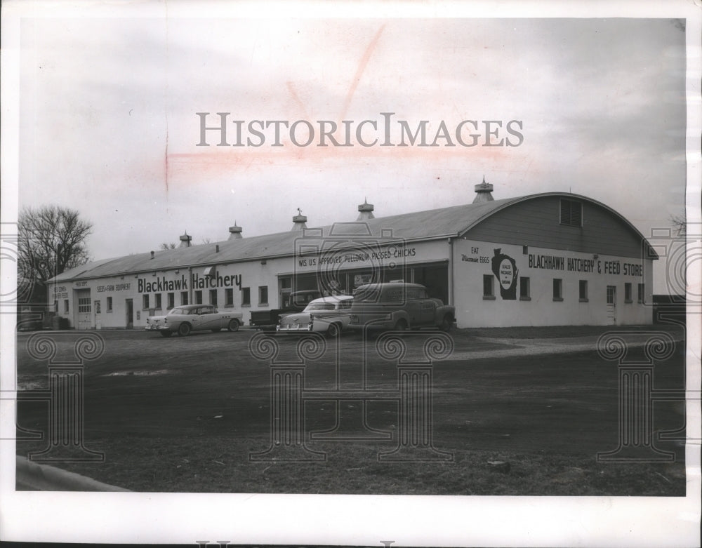 1957 Press Photo Hatchery opened by Fred &amp; Agnes Porter in Janesville, Wisconsin- Historic Images