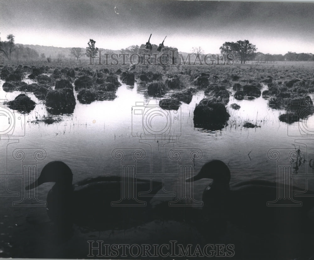 1970 Press Photo Duck Hunters and decoys on Wisconsin pond at dawn - mjb75407