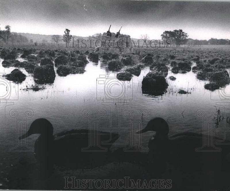 Load image into Gallery viewer, 1970 Press Photo Duck Hunters and decoys on Wisconsin pond at dawn - mjb75407
