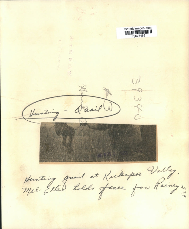 Load image into Gallery viewer, 1955 Press Photo Hunting Quail at Kickapoo Valley, Mel Ellis, and Rainey
