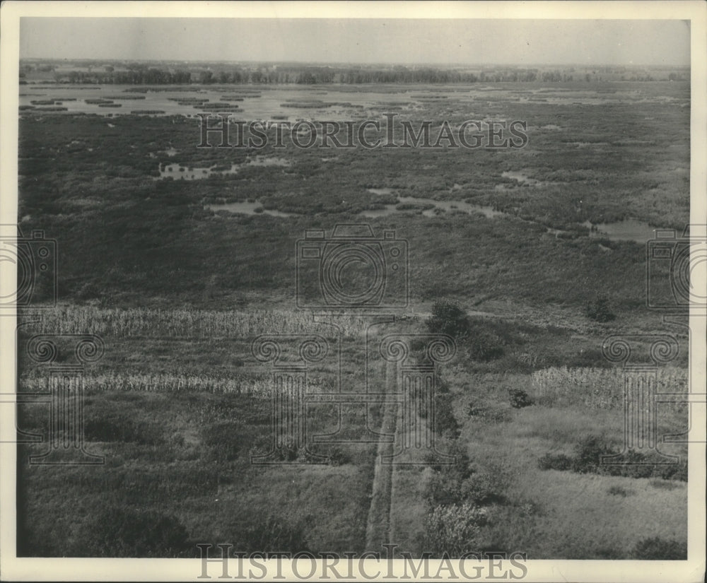 1953 Press Photo Aerial view, Horicon Marsh Wisconsin - mjb76201