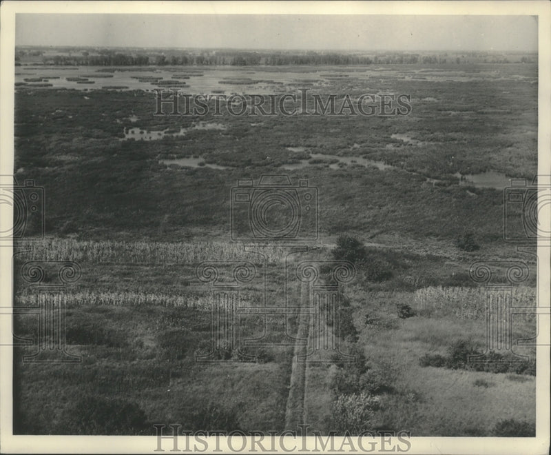 Load image into Gallery viewer, 1953 Press Photo Aerial view, Horicon Marsh Wisconsin - mjb76201
