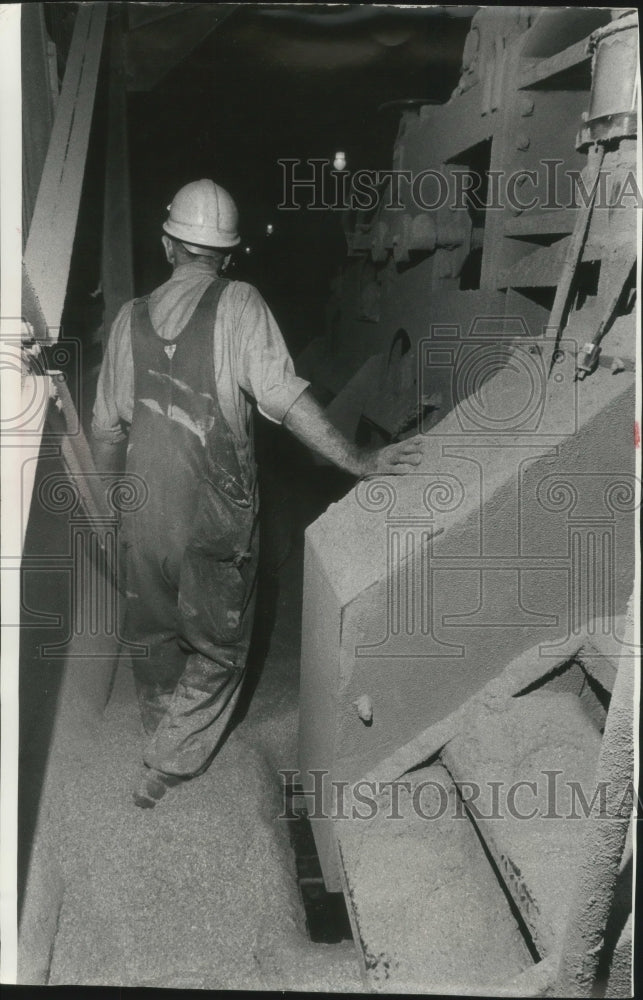 1978 Press Photo A pesticides service worker walks dirt-covered elevator