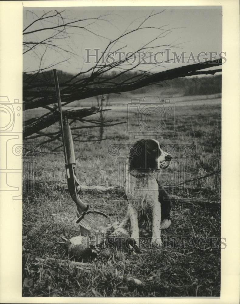 1983 Press Photo Chips, Don Johnson springer spaniel pose with a bag of pheasant- Historic Images