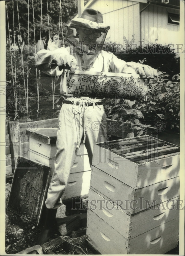 1980 Press Photo Beekeeper Joe Wing, with his hives, Port Washington, New York- Historic Images