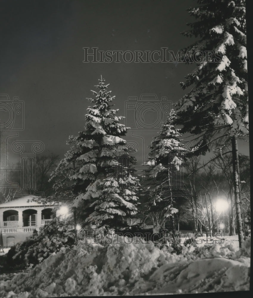 1956 Press Photo Winter Beauty in Humboldt Park - mjb78079- Historic Images