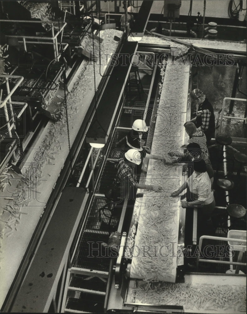 1981 Press Photo French fry manufacturing, Ore-Ida Foods Plant, Plover Wisconsin- Historic Images