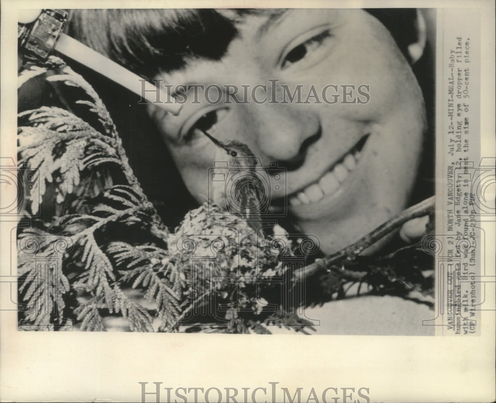1968 Press Photo Jane Edgett feeds baby hummingbird, Vancouver, British Columbia