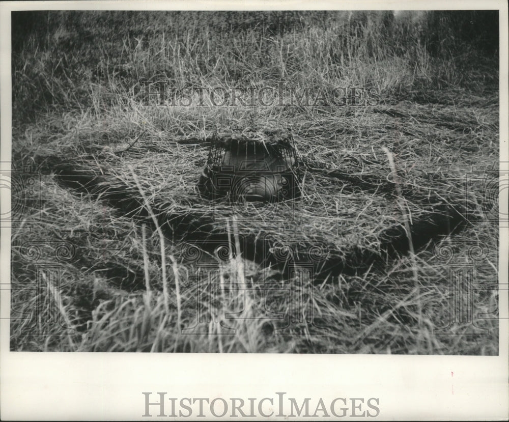 1960 Press Photo Private Pits for hunting geese in Rock County, Wisconsin