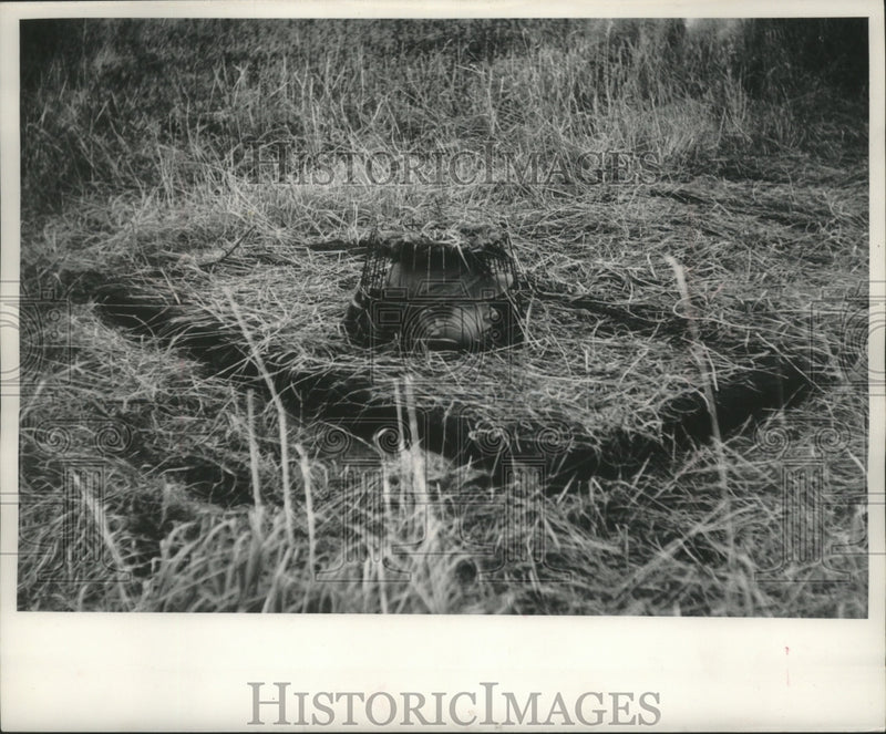 Load image into Gallery viewer, 1960 Press Photo Private Pits for hunting geese in Rock County, Wisconsin
