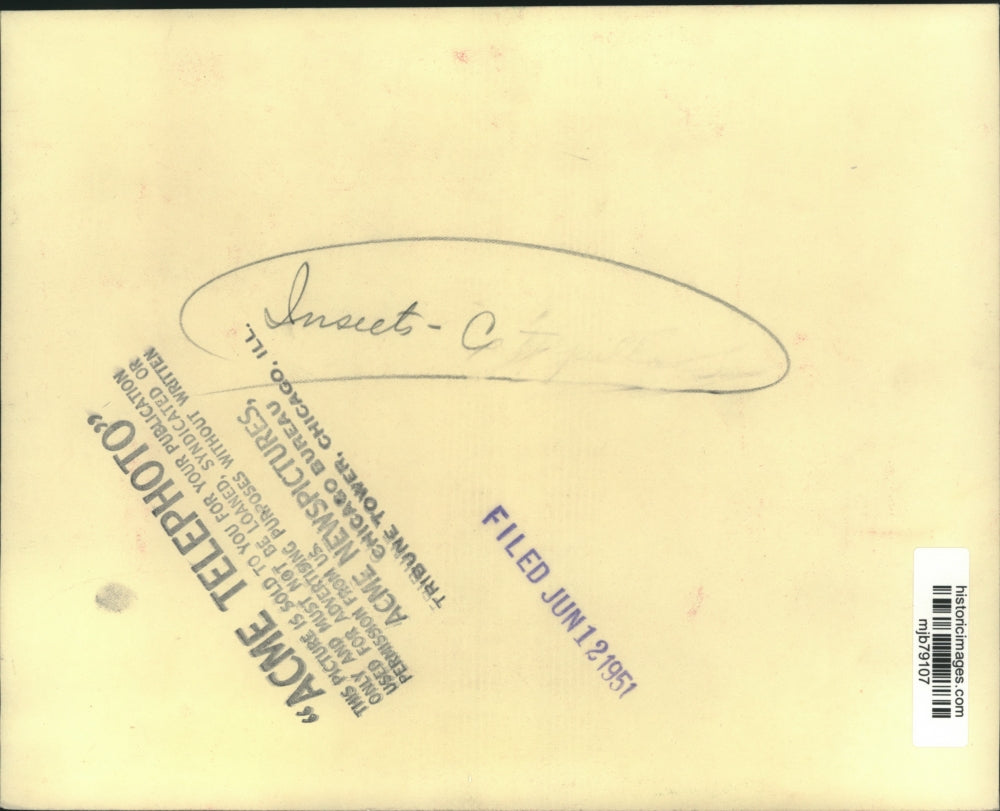 1951 Press Photo Caterpillars on tree trunk in Sault Sainte Marie, Michigan