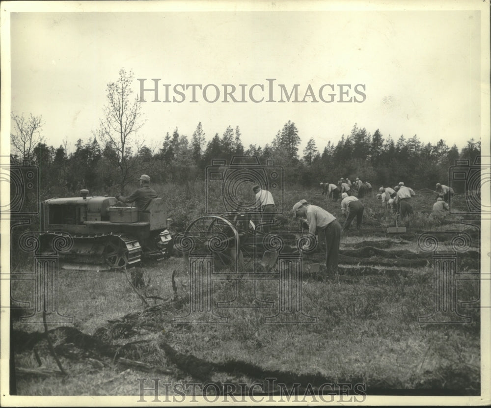 1941 Press Photo Crew working at Athelstance Camp Marienette County - mjb81108- Historic Images