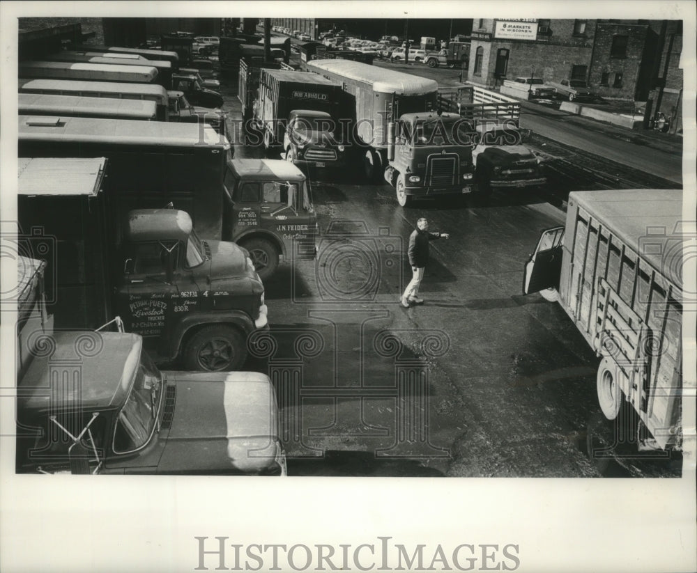 1964 Press Photo Milwaukee Stockyard,Eugene Bremer unsnarls heavy traffic- Historic Images