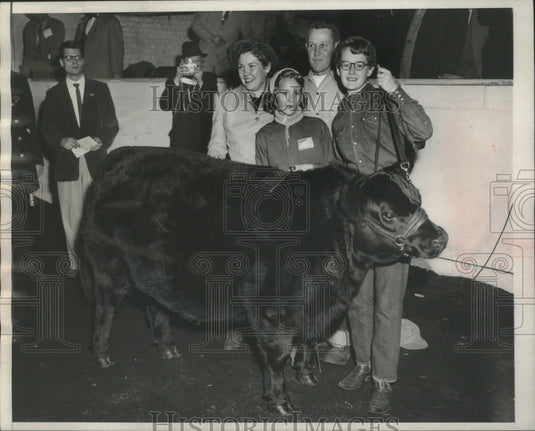 1955 Press Photo Grand champion steer at International livestock show, Chicago- Historic Images