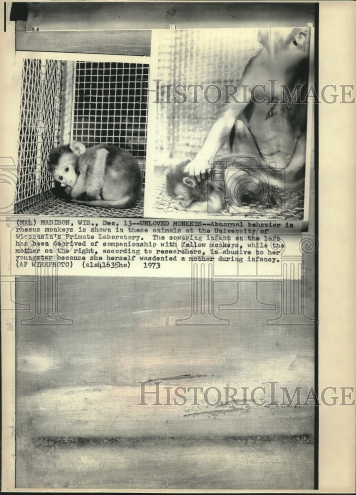 1973 Press Photo Rhesus monkeys in a laboratory Madison, Wisconsin- Historic Images