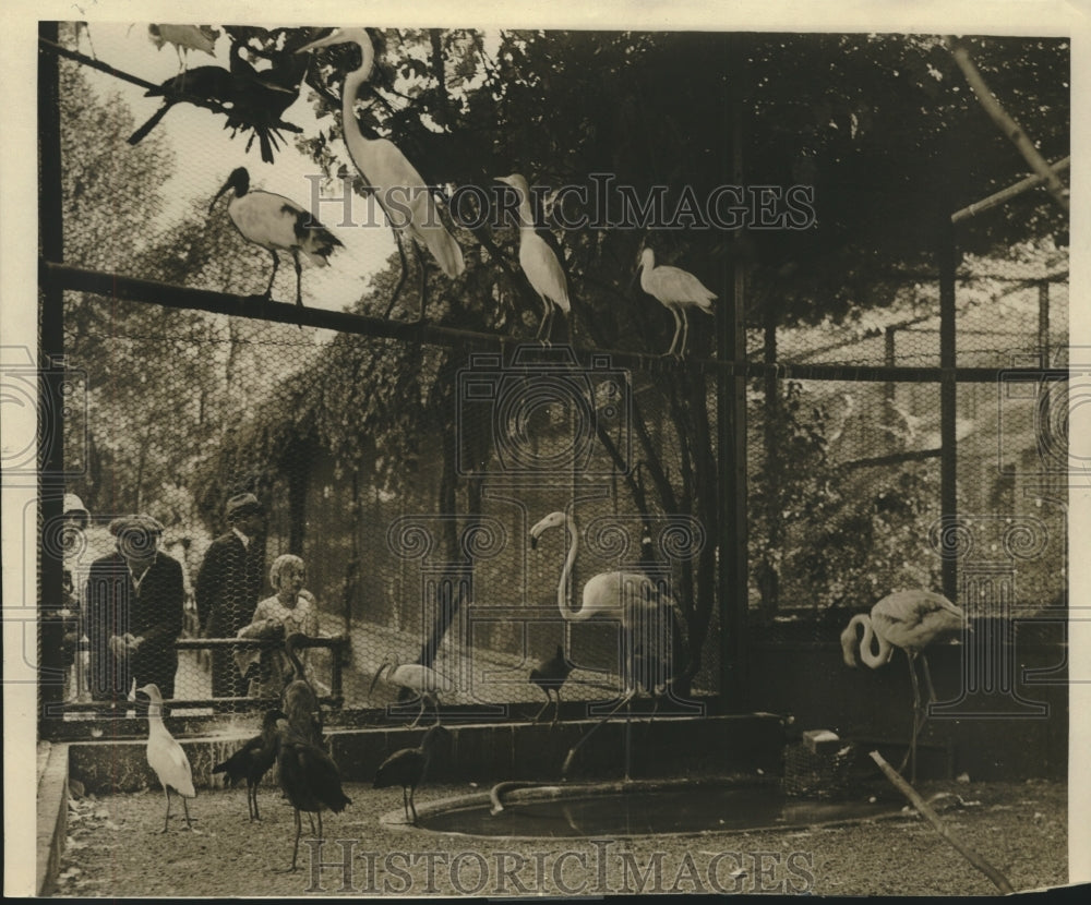 1931 Press Photo Many bird species at the Washington Park Zoo in Milwaukee- Historic Images