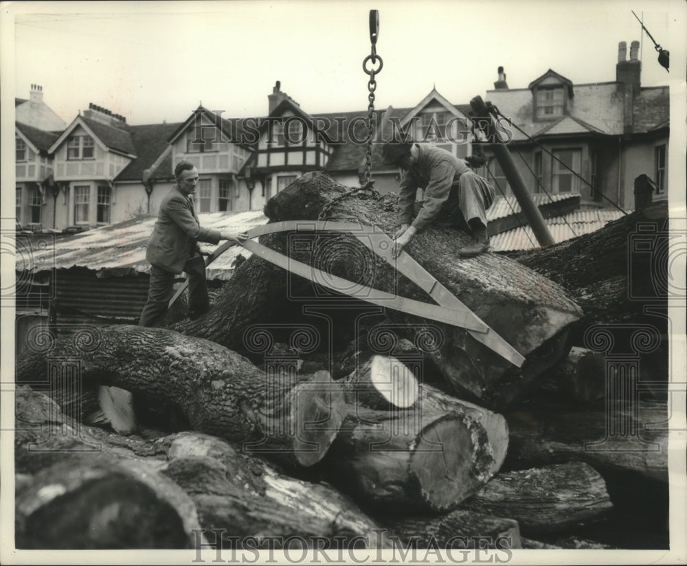 1956 Press Photo Sawyers measuring a oak trunk to be used on Mayflower II.- Historic Images