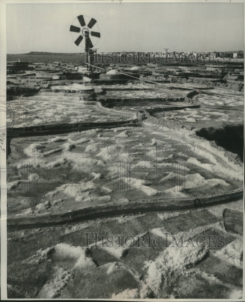 1958 Press Photo Water evaporating from salt for 15 days in a field- Historic Images