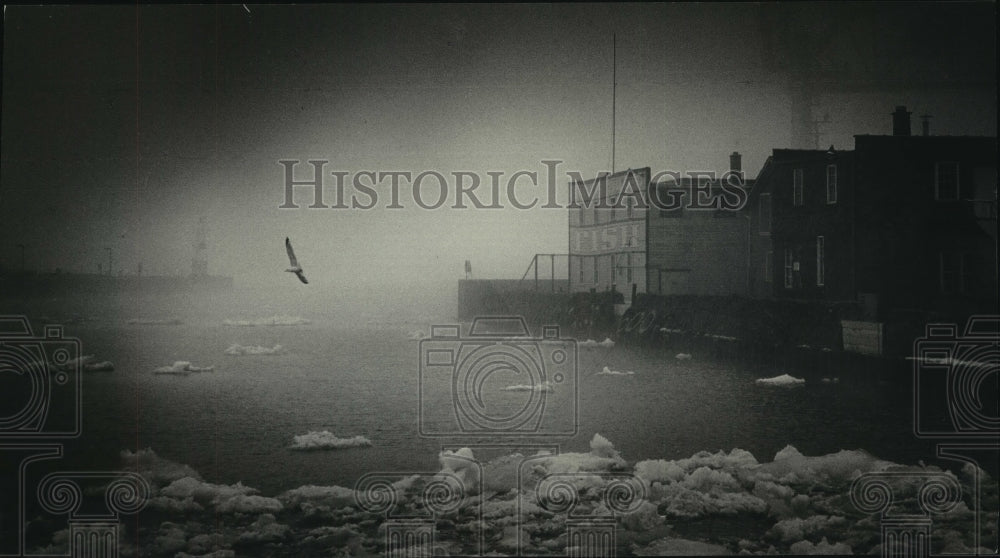 1964 Press Photo Sea gull, think fog, and ice-crusted inlet at Port Washington- Historic Images