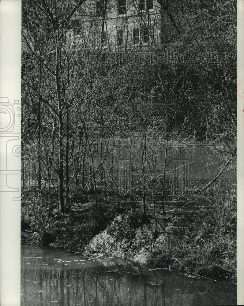 Load image into Gallery viewer, 1968 Press Photo Polluted pond below St. John's Military Academy, Delafield, WI

