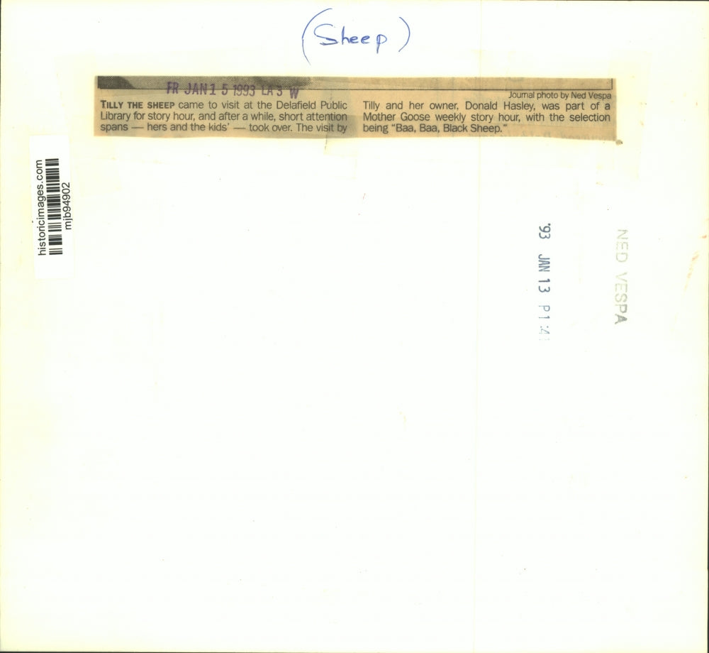 1993 Press Photo Tilly The Sheep during the Delafield Public Library story hour