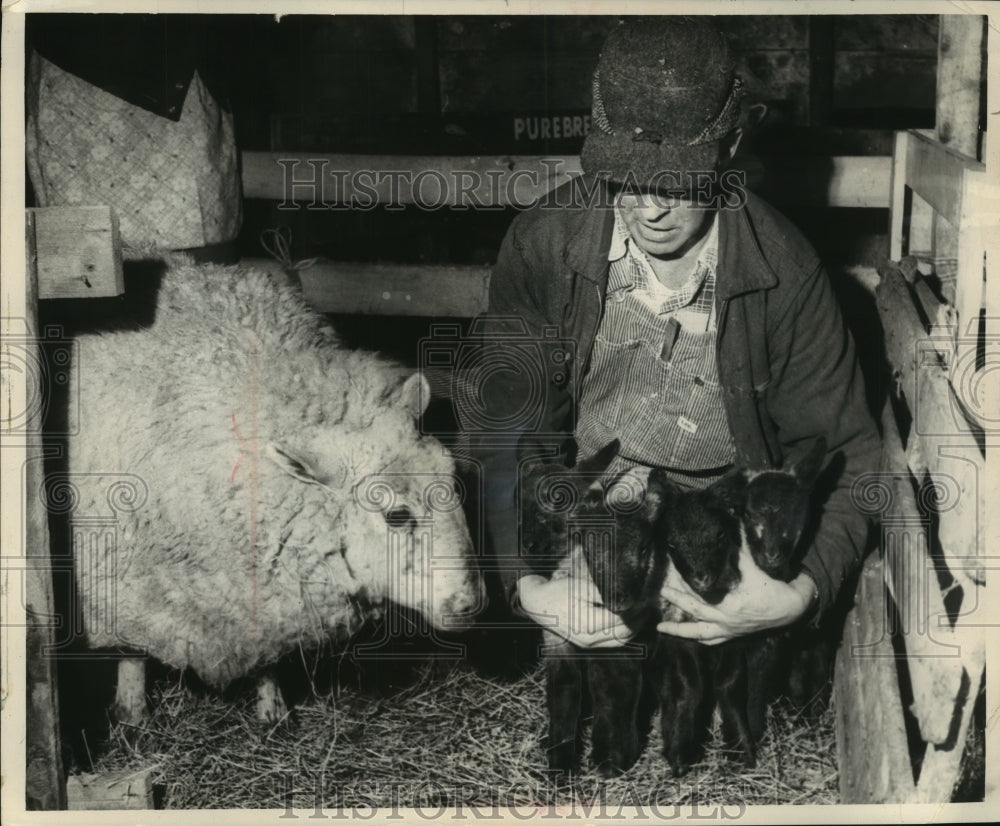 1964 Press Photo Harvey Oswald displays quadruplet lambs as their mother look on- Historic Images