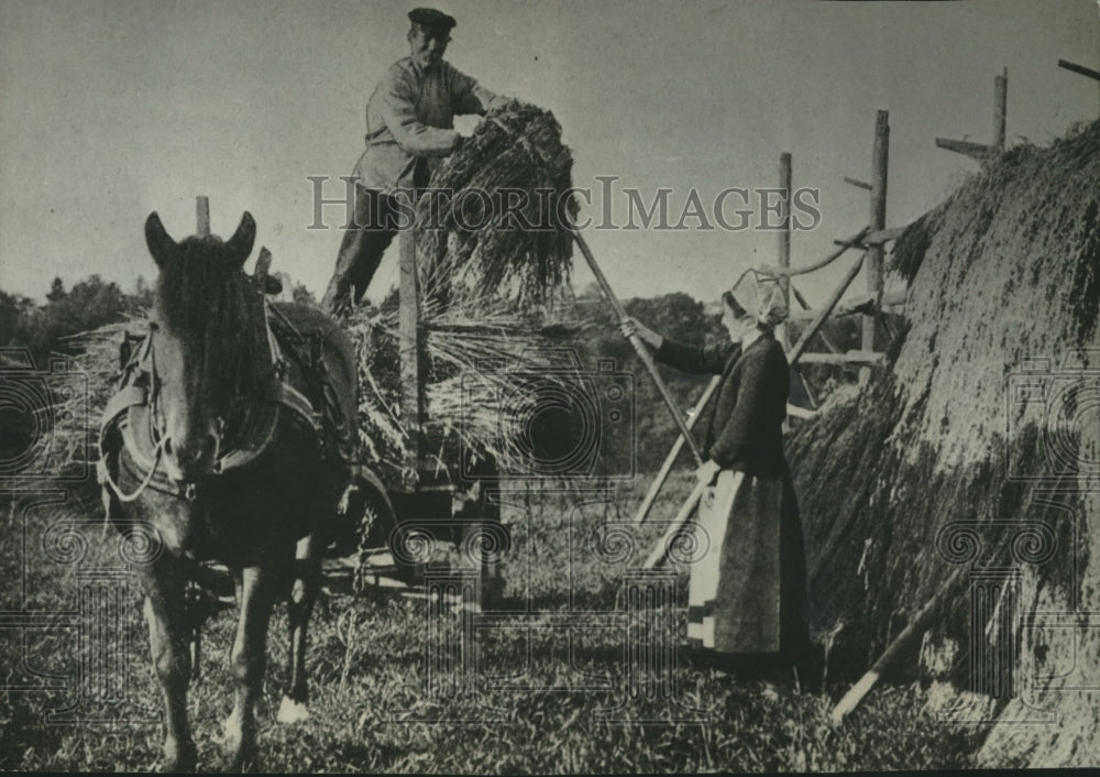 1939 Press Photo A Swedish farmer and his wife stacking hay from a horse wagon.- Historic Images