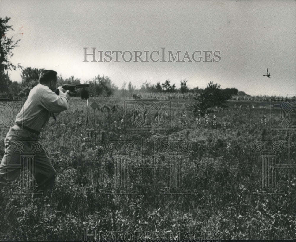 1954 Press Photo Hunter shoots at pheasant flushed by his dog, Cavalier Dixie,- Historic Images