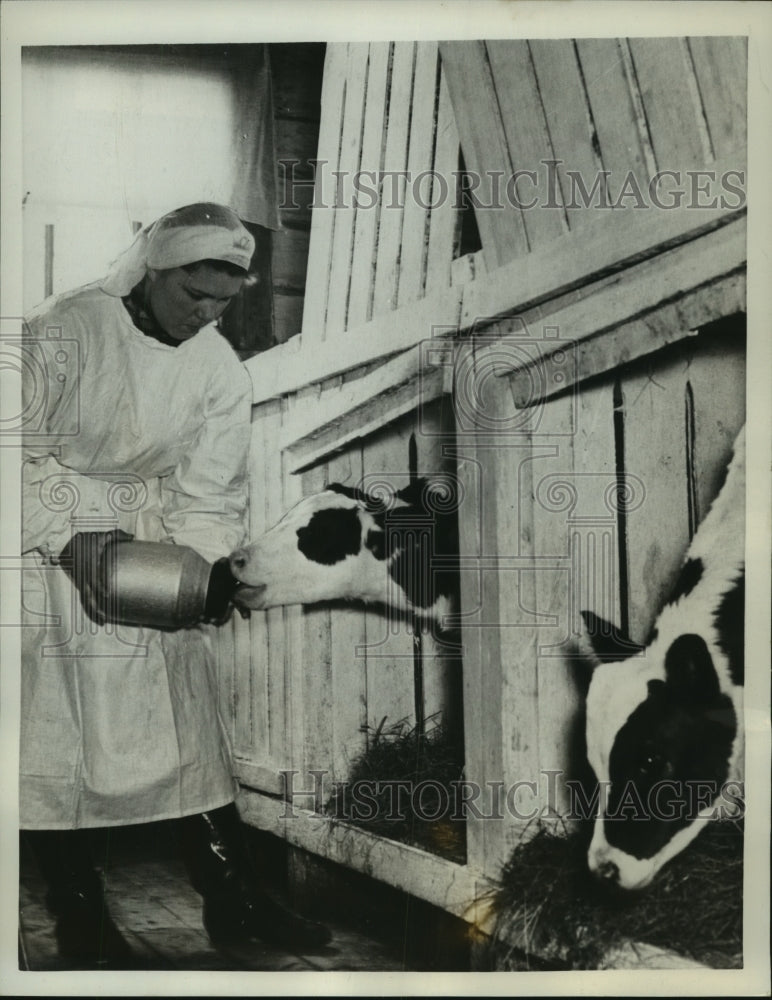 1958 Press Photo Soviet Agricultural School Student Feeds Calves in Vorkuta- Historic Images