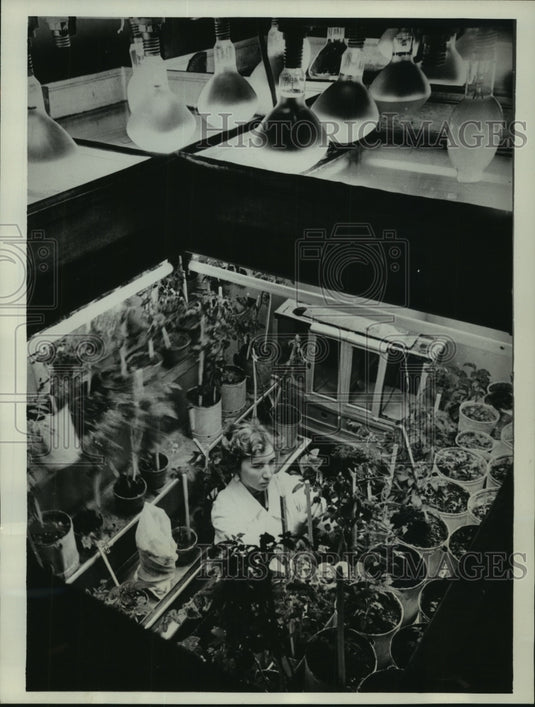 1962 Press Photo Woman Technician Doing Work at All-Union Insitute in Leningrad