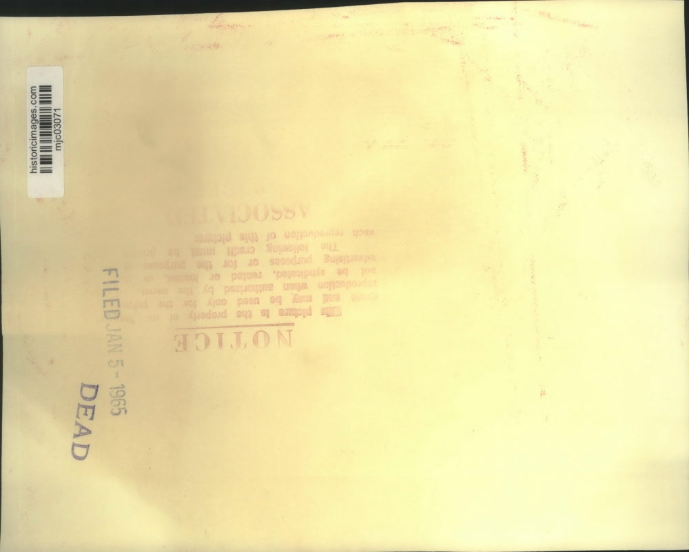 1964 Press Photo United Nations, smiling, Nikolai Federenko, Adlai Stevenson