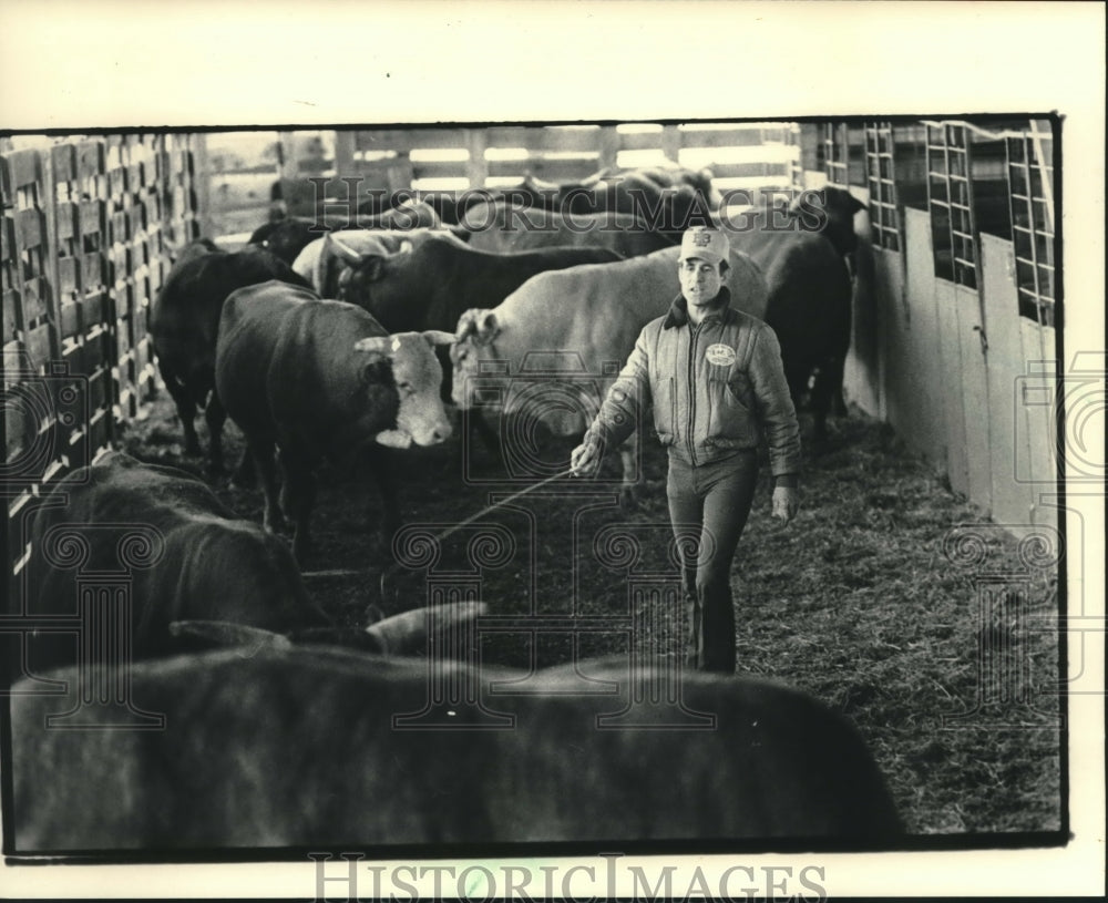 1985 Press Photo John Walters sorts stock at Waukesha County Fairgrounds- Historic Images