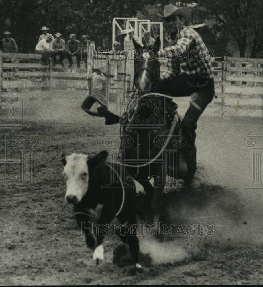 1968 Press Photo A Cowboy Lassos Running Calf in Rodeo in Wisconsin - mjc06057- Historic Images