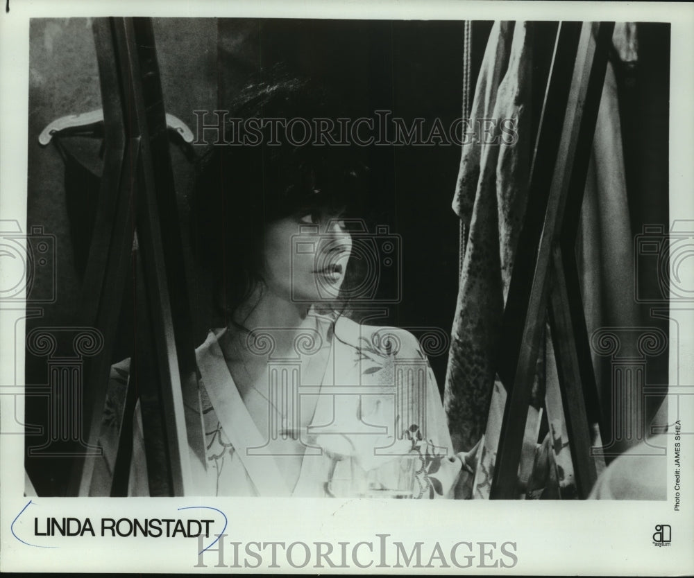 1977 Press Photo Singer Linda Ronstadt - mjc06607