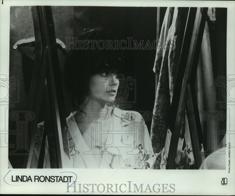 Load image into Gallery viewer, 1977 Press Photo Singer Linda Ronstadt - mjc06607
