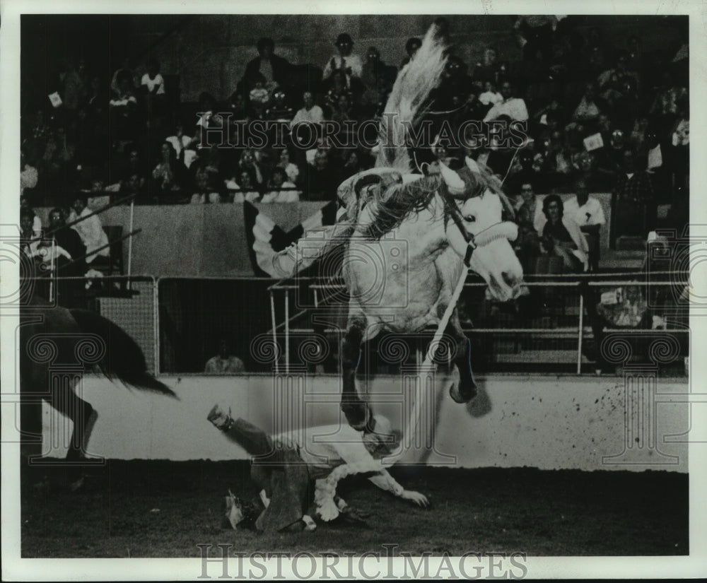 1974 Press Photo Bucking Bronc at the Wonago Rodeo in Wisconsin - mjc06837- Historic Images